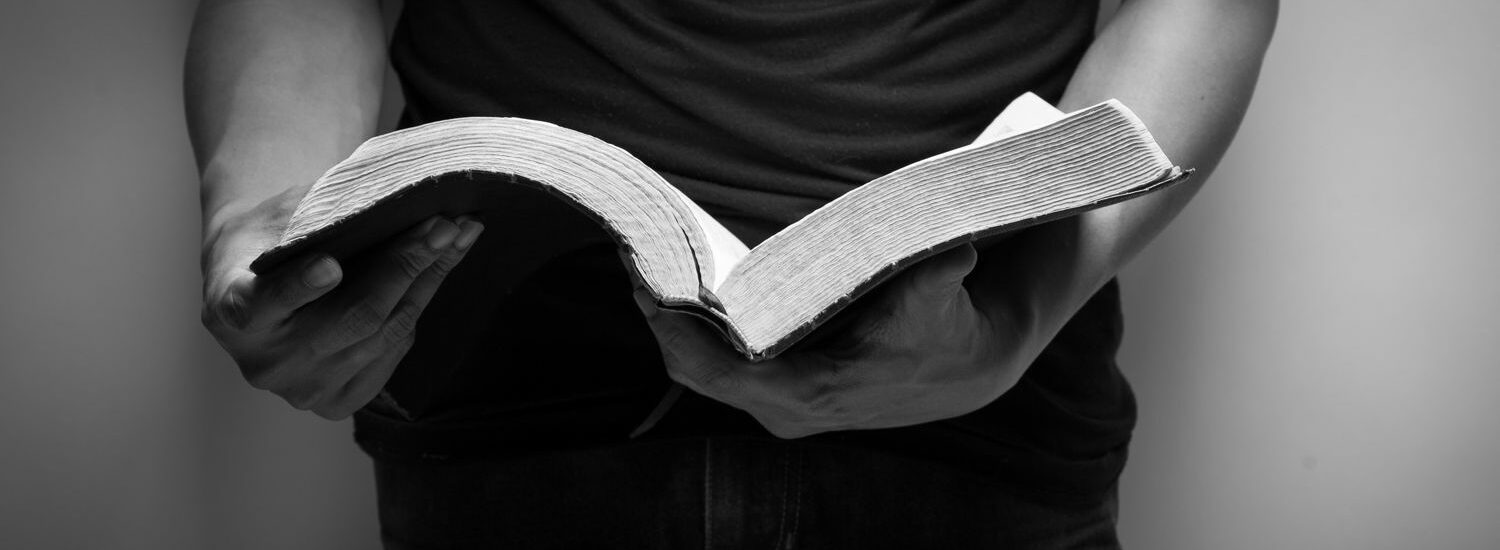 New York Little Flower Playground